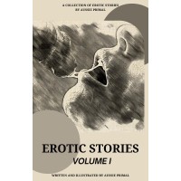 Erotic Stories Volume I