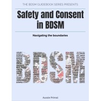 Safety and Consent in BDSM : The BDSM Guidebook Series