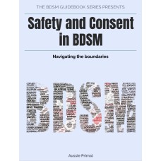 Safety and Consent in BDSM : The BDSM Guidebook Series