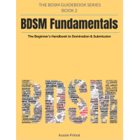 The Beginner’s Handbook to Domination and submission: The BDSM Guidebook Series