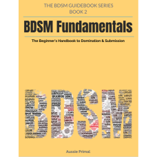 The Beginner’s Handbook to Domination and submission: The BDSM Guidebook Series